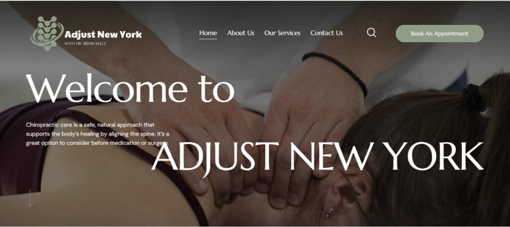 Adjust-New-York-Website-Design-And-Development-By-Asjad-Ali-Web-App-Developer